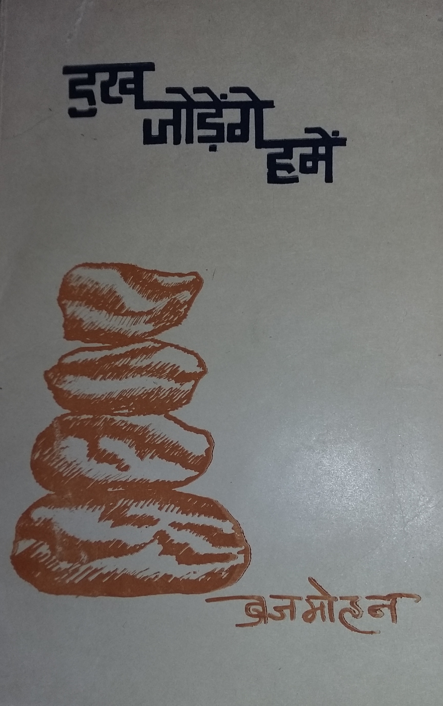 Brajmohan-book.jpg